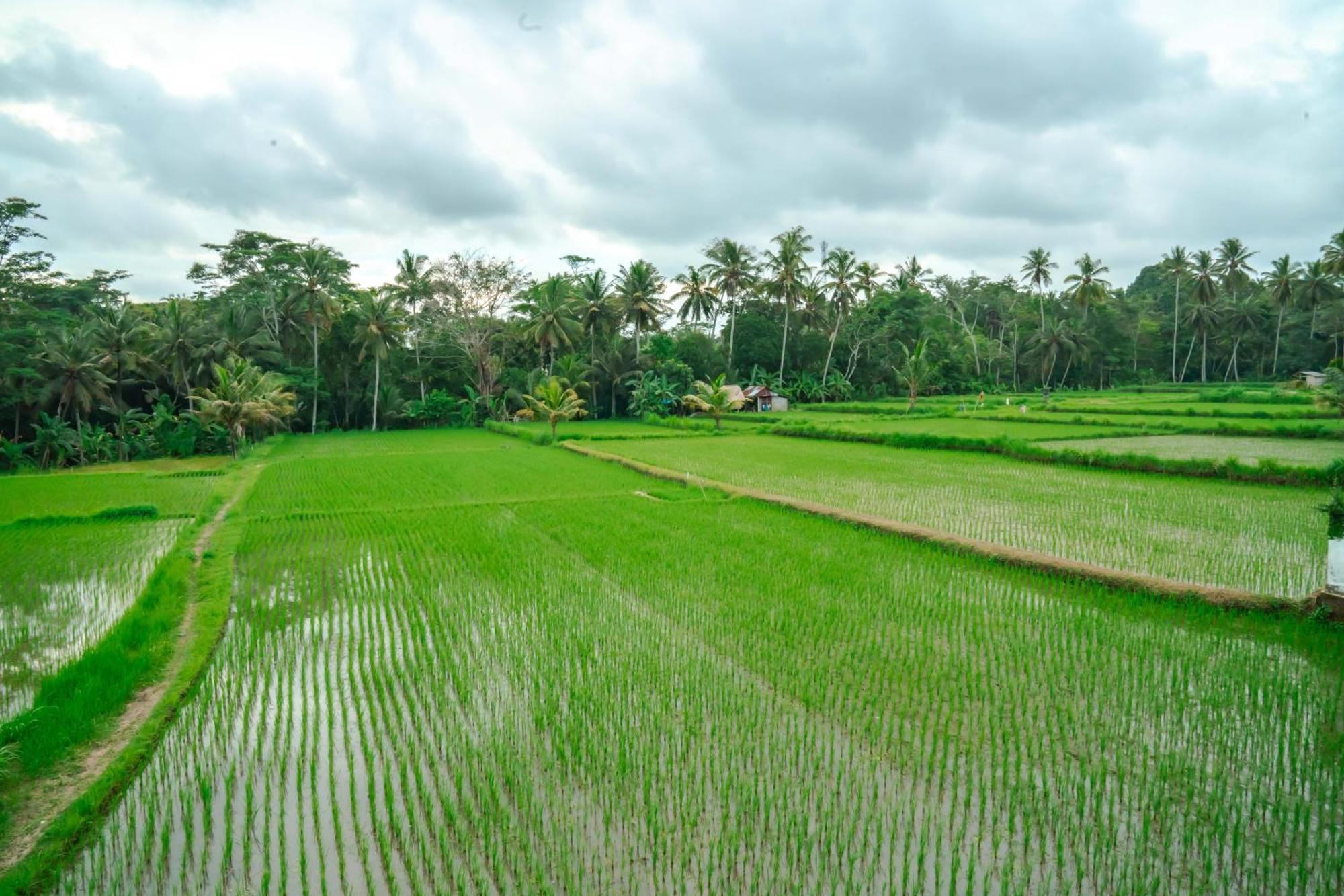 Tulus Hati Ubud Retreat エクステリア 写真